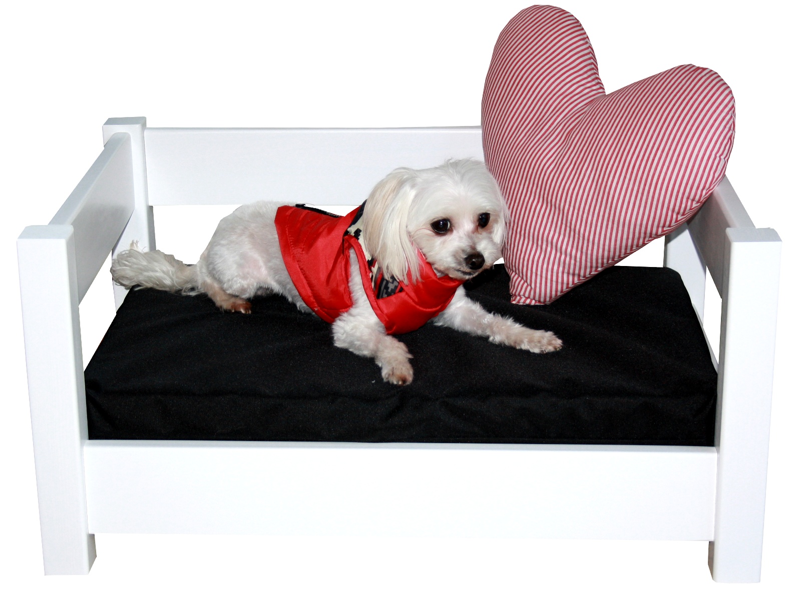 Micoland - Hundebett Katzenbett Haustierbett 60x40 cm massiv mit Matratze  kiefer-grau